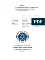 Determination of Core Sample Absolute Permeability Using Gas Permeameter and Liquid Fluid Practicum Report