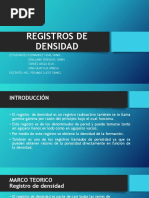 Registros de Densidad