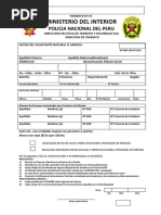 Formato #07 - PNP - Polarizadas PDF