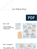 Daur Hidup Virus