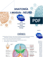 I Neuro PDF