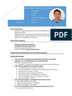 CV Profesional Mecatronico