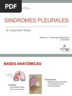 Sindrom Pleurales