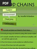 Grade 5 Food Chain Predator Prey