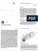 Temazcal 1 PDF