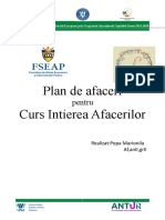 ANTUR Planul de Afaceri Model