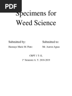 Specimens For Weed Science