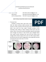 Identifikasi Bakteri Kokus Gram Positif