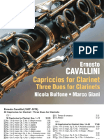 Booklet Cavallini PDF