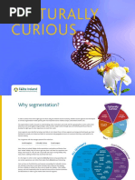 Culturally Curious PDF