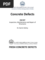 Concrete Defects 2