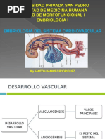 Embriologia Del Sistema Cardiovascular Final