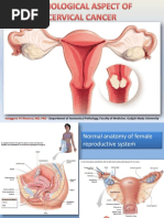 Infodatin Ibu