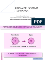 Embriología Del Sistema Nervioso