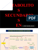 Metabolitos Secundarios en Plantas Diapositivas