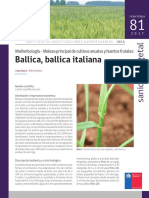 Ficha 81 Ballica, Ballica Italiana