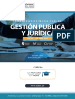 Carrera Profesional Gestion Publica Icj - PDF