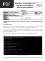 Informe PING