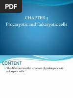 Procaryotic and Eukaryotic Cells