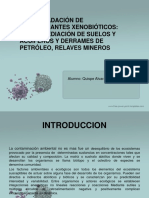 Biodegradacion de Contaminantes Xenobioticos