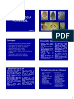 Entomologia Forestal