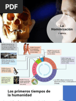 La Hominización