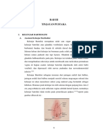 BAB III Tinjauan Pustaka