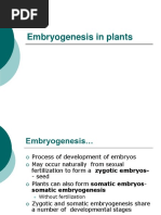 10 Embryogenesis