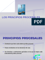 1, Principios Procesales