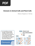 Osmosis in Animal and Plant Cells