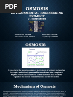 Environmental Engineering Project: Osmosis