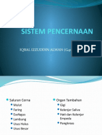 Sistem Pencernaan