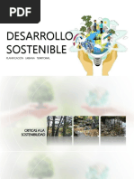 Desarrollo Sostenible