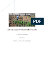 Labranza Convencional de Suelo