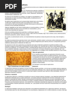 Historia de La Agricultura