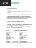 Aeropuerto Desarrollado2 PDF