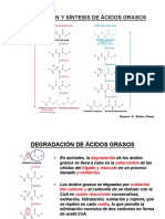 25 Degradación y Síntesis de Ácidos Grasos