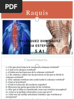 5A1 Raquis PDF