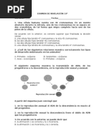 Nivelacion Examen 10°