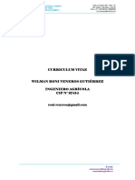 Curriculum Vitae Roni PDF