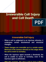 Irreversible Cell Injury and Cell Death