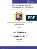 Fuentes Pineda Karen PDF