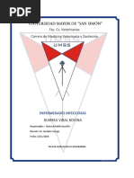 Informe. Diarrea Viral Bovina