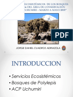 Servicios Ecosistemicos Polylepis - Blgo Jorge Cuadros PDF