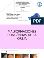 Malformaciones Congénitas de Oído Subgrupo2