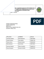 Extraccion y Cuantificacion de Antocianinas en La Uva