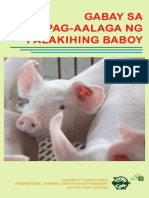 Gabay Sa Pag-Aalaga NG Palakihing Baboy (Read Only) PDF