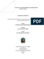 Tesis Mineralogía Aplicada Arenas Negras PDF