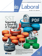 Seguridad y Salud Aele