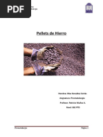 Pellets de Hierro